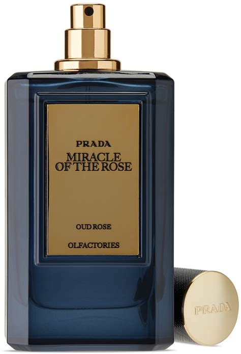 perfume prada unisex|Prada miracle of the rose.